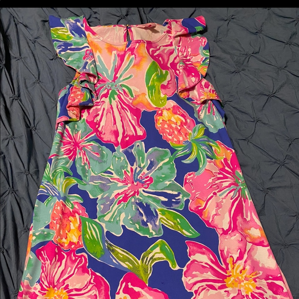 Lilly Pulitzer large dress